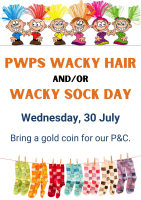 Wacky Hair and Sock Day